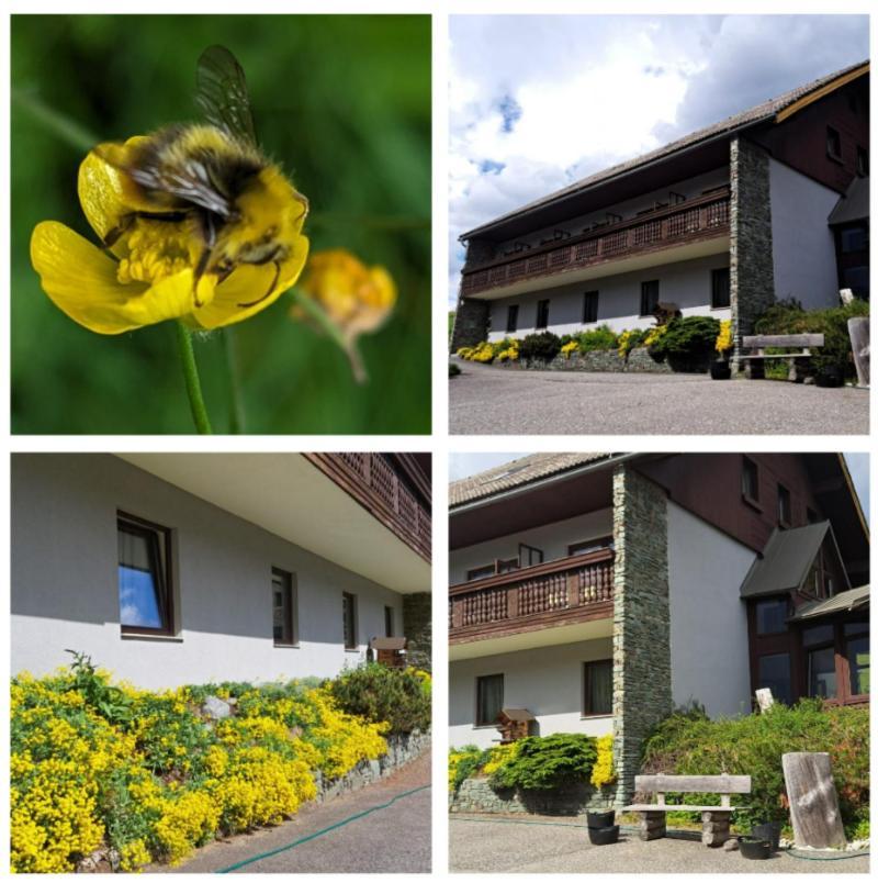 Draxlerhaus Hotel Hohentauern Exterior foto